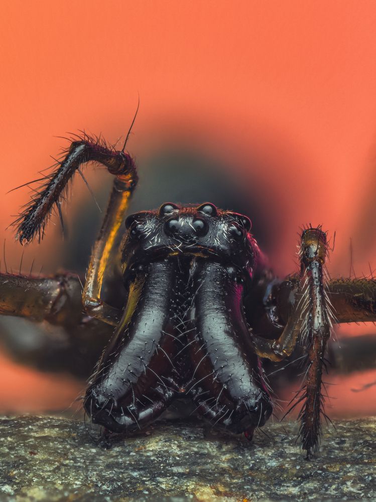 Photograph by Sergio Gomez Dominguez