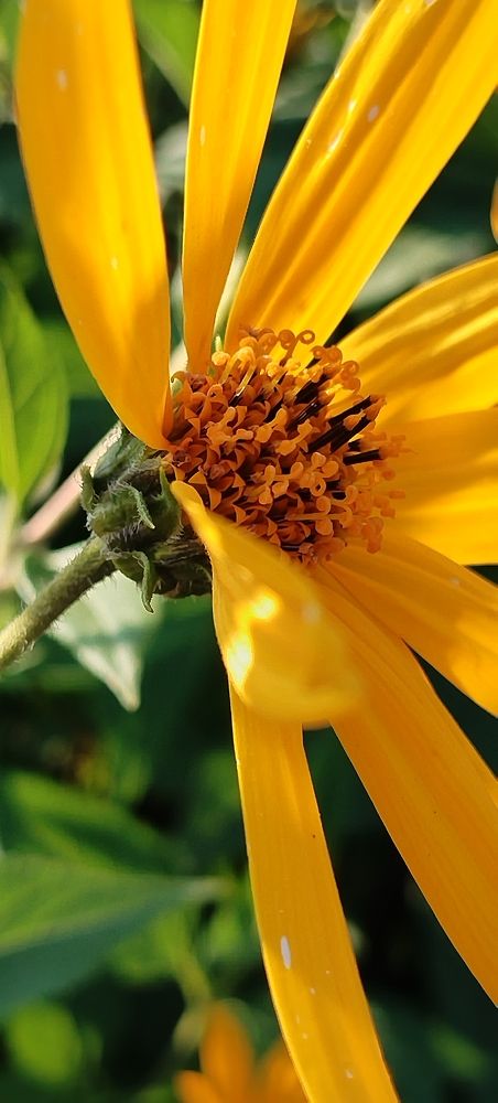 Photograph by Наталья