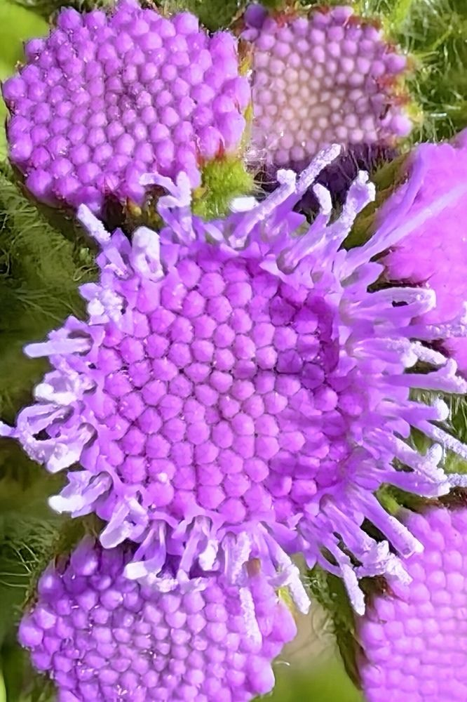 Photograph by Римма Бобрякова