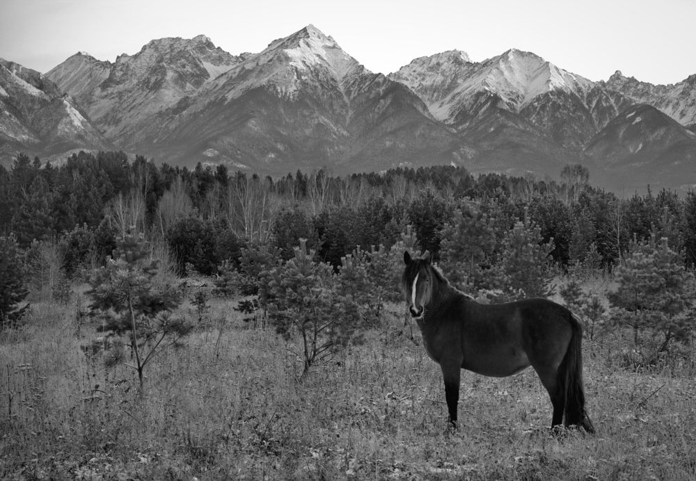 Фотография автора Андрей Ильков