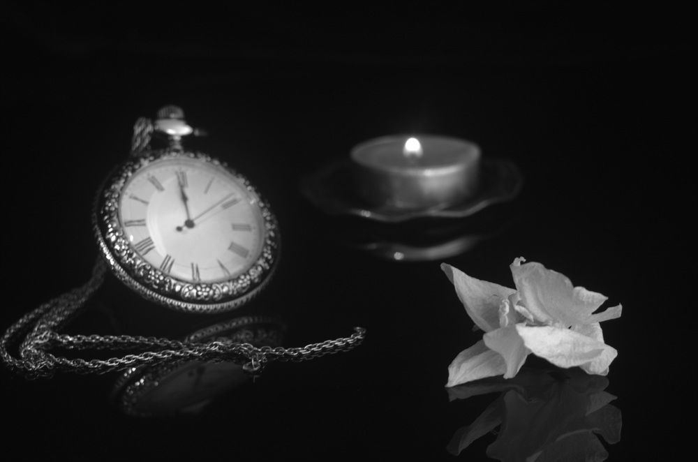 Photograph by Светлана Дисяк