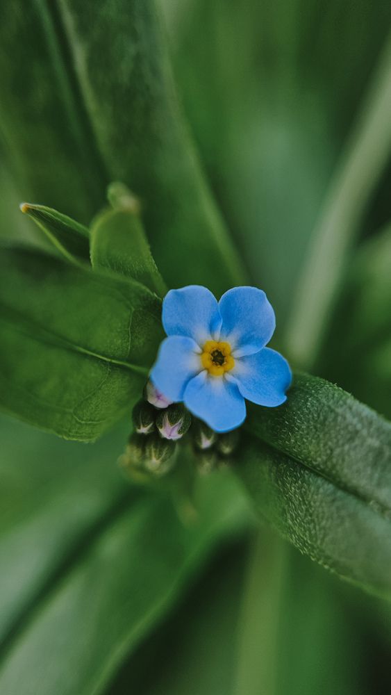 Фотография автора Olga