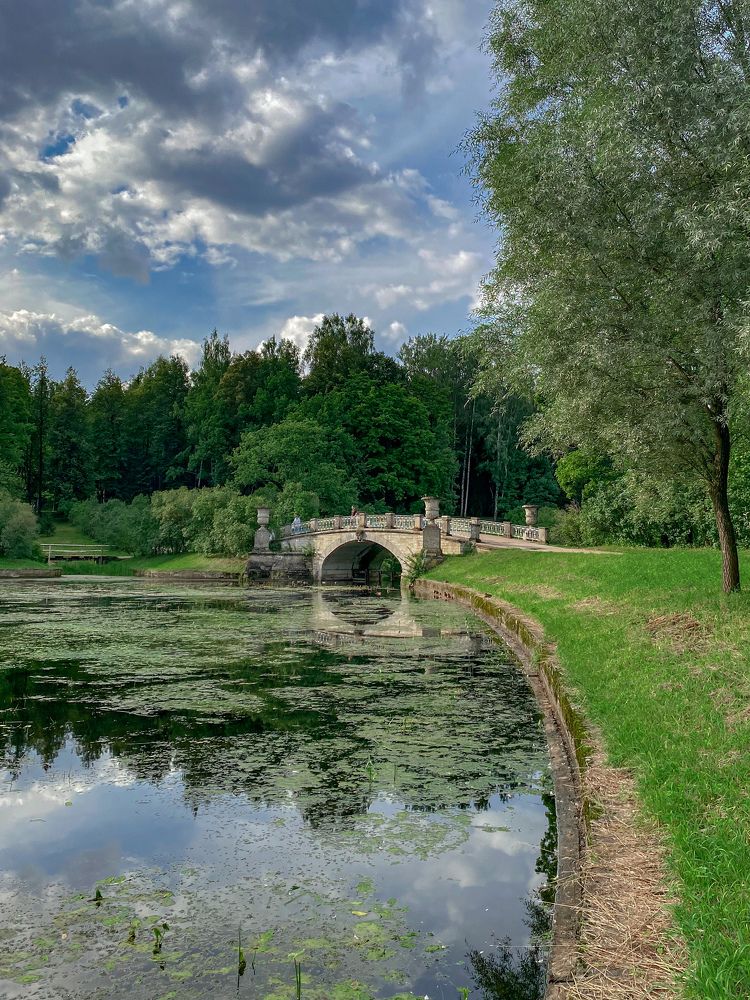 Фотография автора Анна Золотарёва