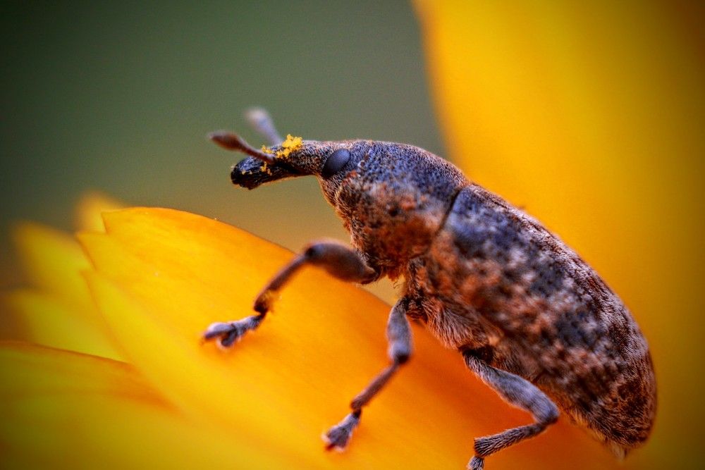 Photograph by AlexaL