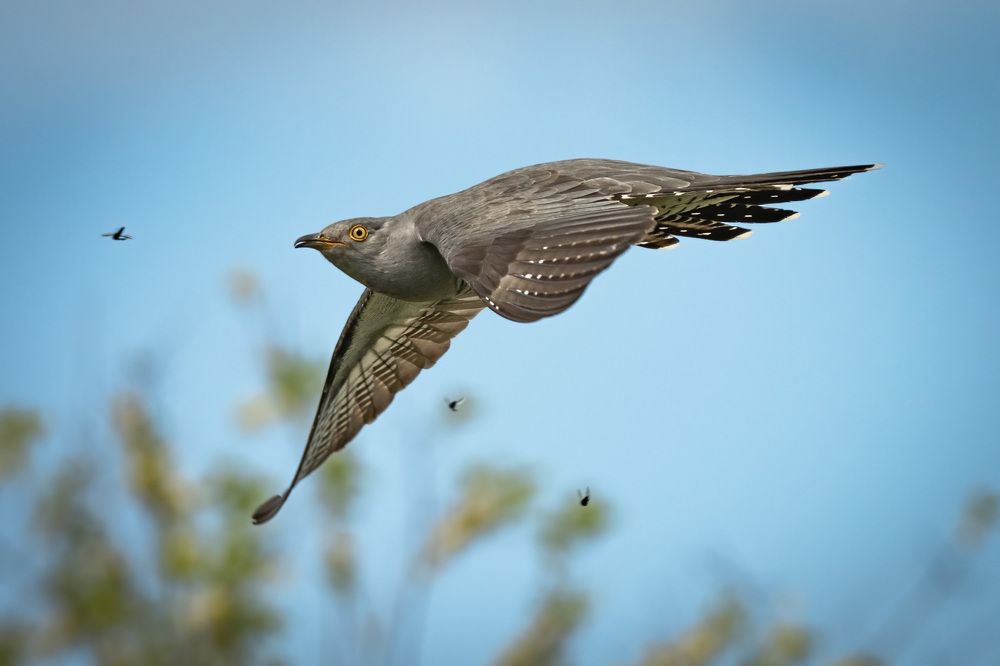 Photograph by Вячеслав Ладанов