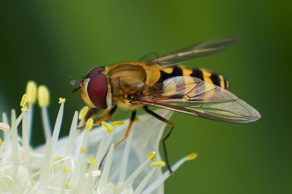 Фотография автора Ekaterina Palant