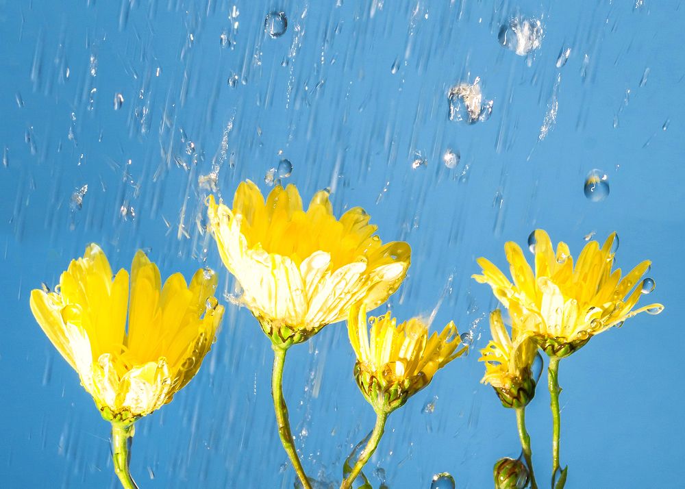 Photograph by Ангела Честнова