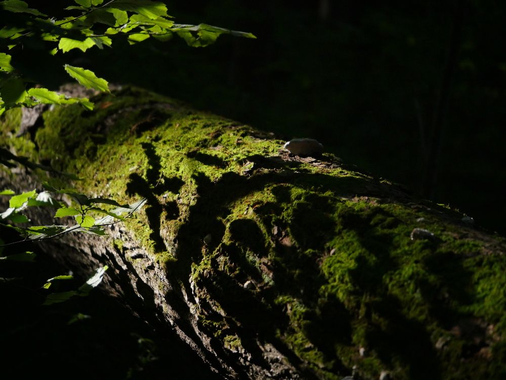 вЪ ДействИтельностИ