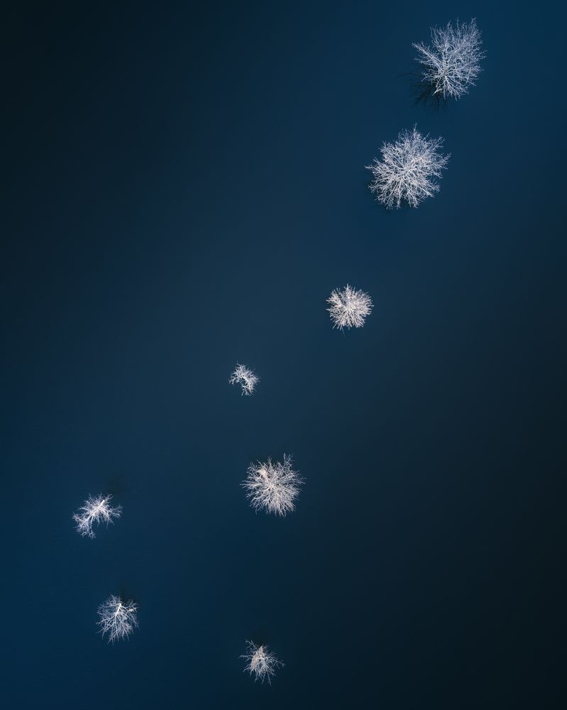 Photograph by Загруев Михаил