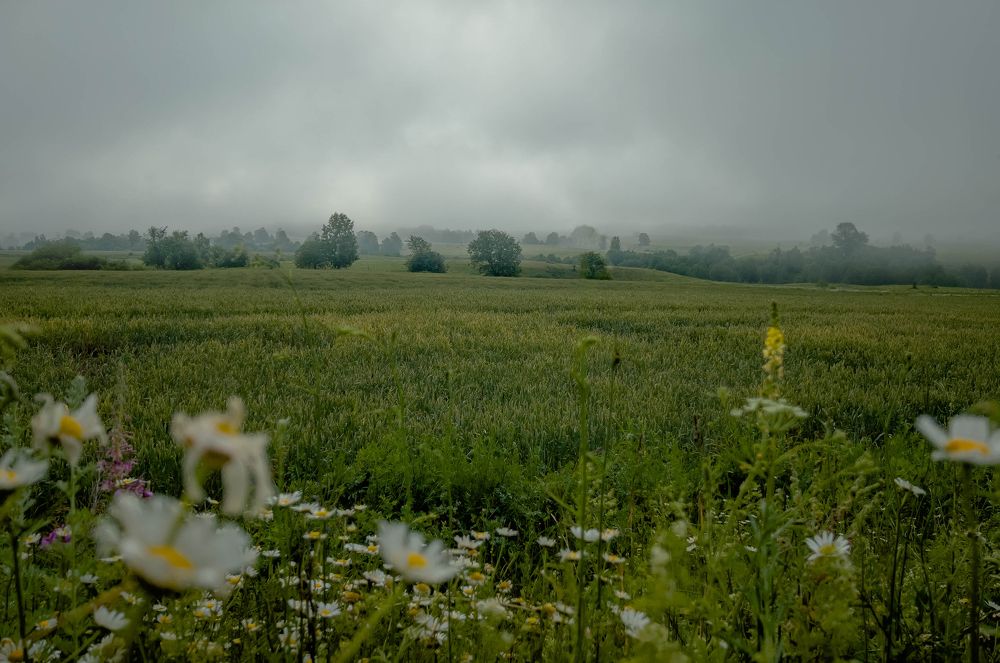 Туманное башкирское утро