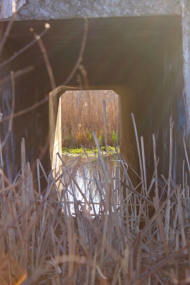 Photograph by Ирина Дмитриенко