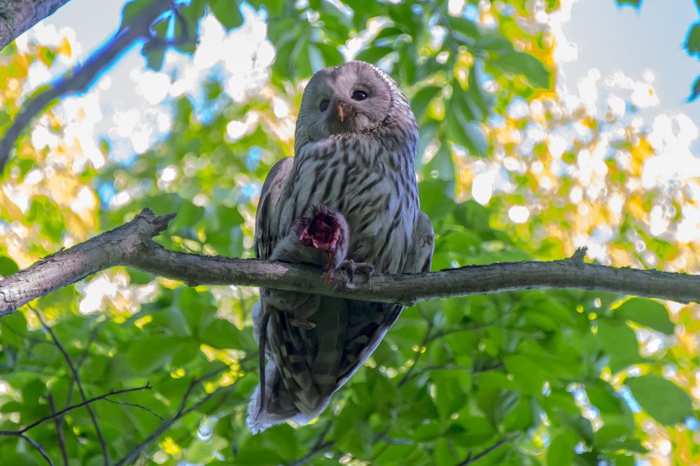 Photograph by Дмитрий Юдин