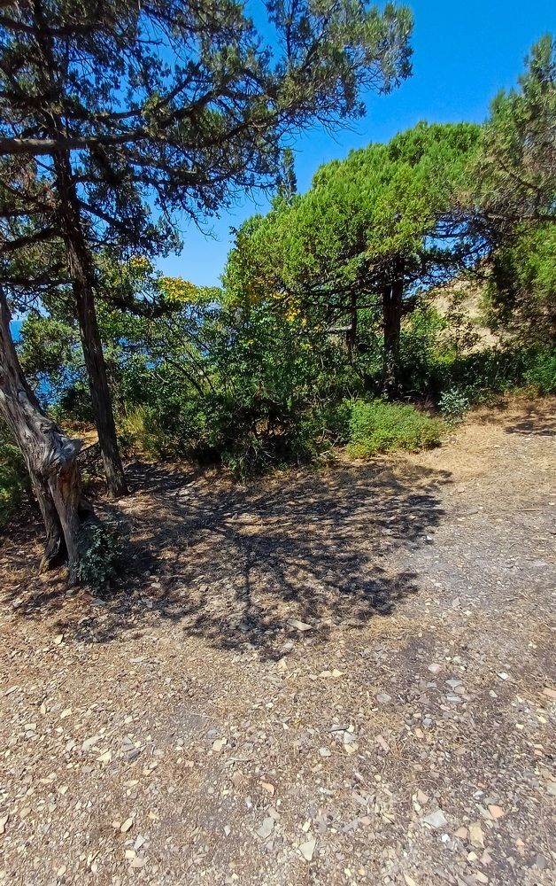 Photograph by Ирина Дмитриенко