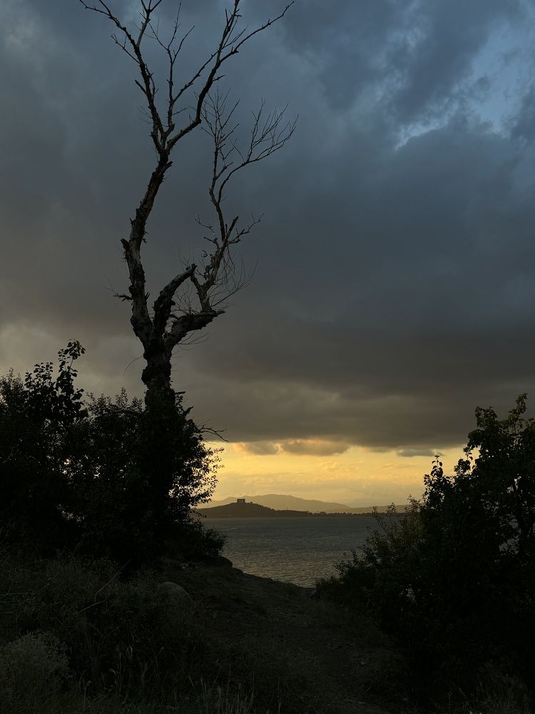 Фотография автора Anastasia