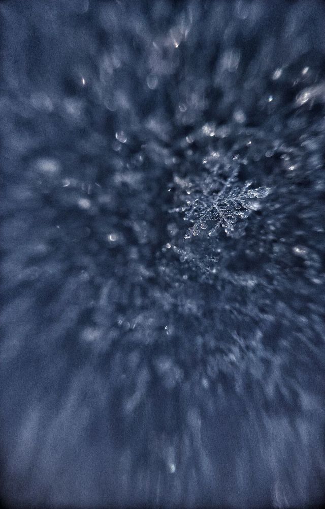 Photograph by Маннанова Ляйсан