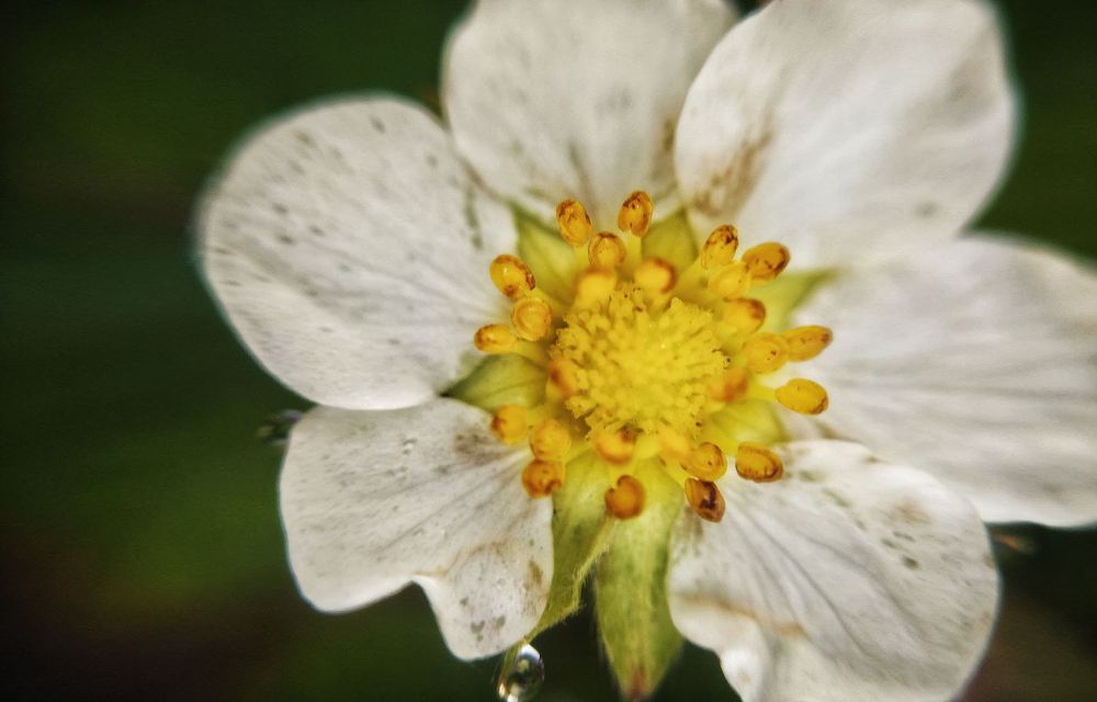 Photograph by Маннанова Ляйсан