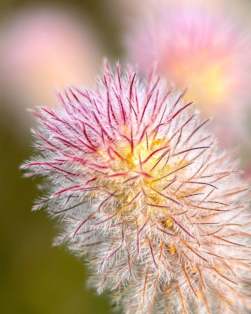 Photograph by Ольга Дорошенко