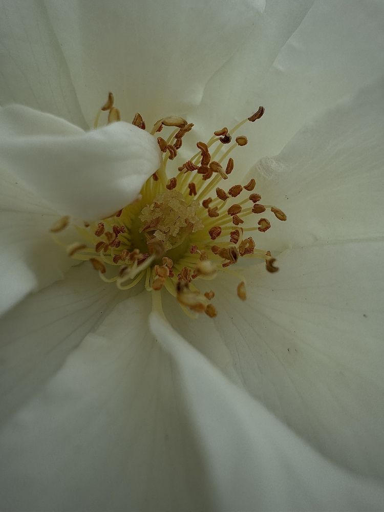 Фотография автора Вера