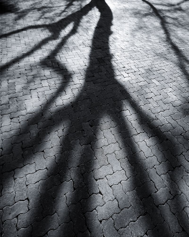 Photograph by Karen Falah