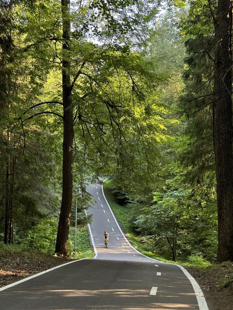 faster than the wind