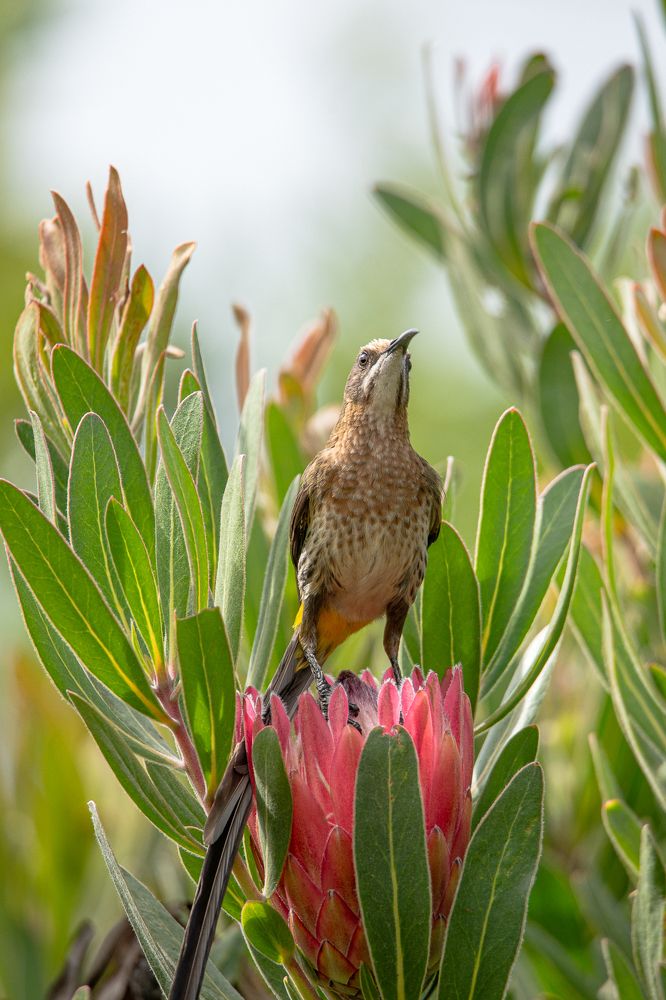 Photograph by Breanna J Marshall