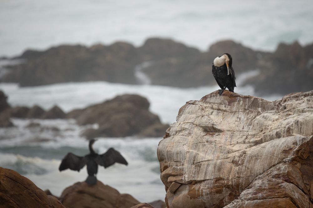 Photograph by Breanna J Marshall