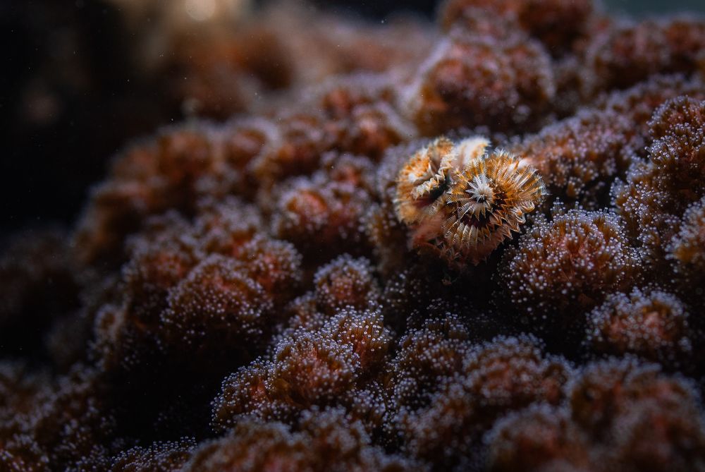 Photograph by Breanna J Marshall