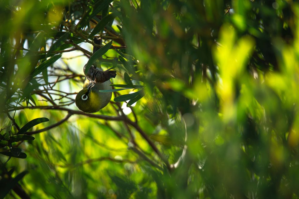 Photograph by Breanna J Marshall