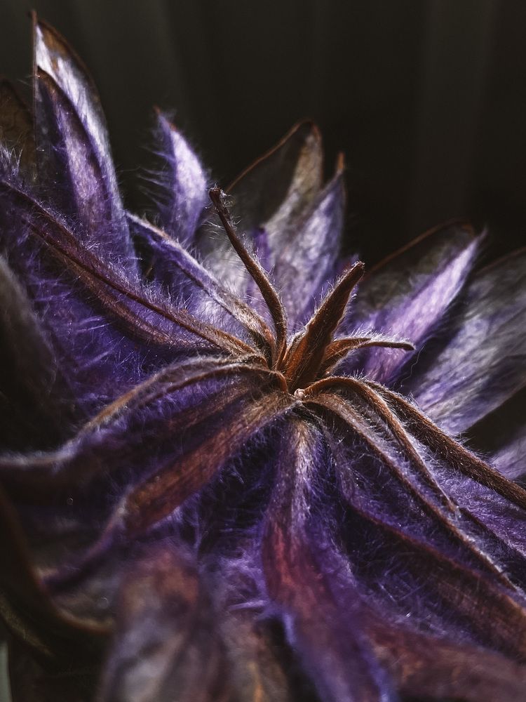 Photograph by Наталия Столяр