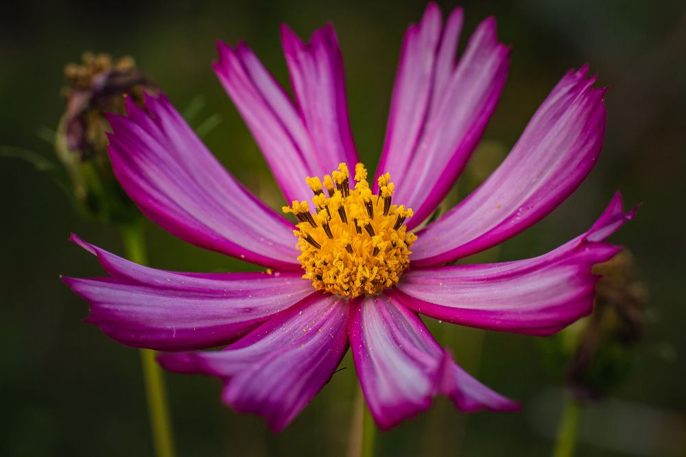 Photograph by Филипп Бабенко