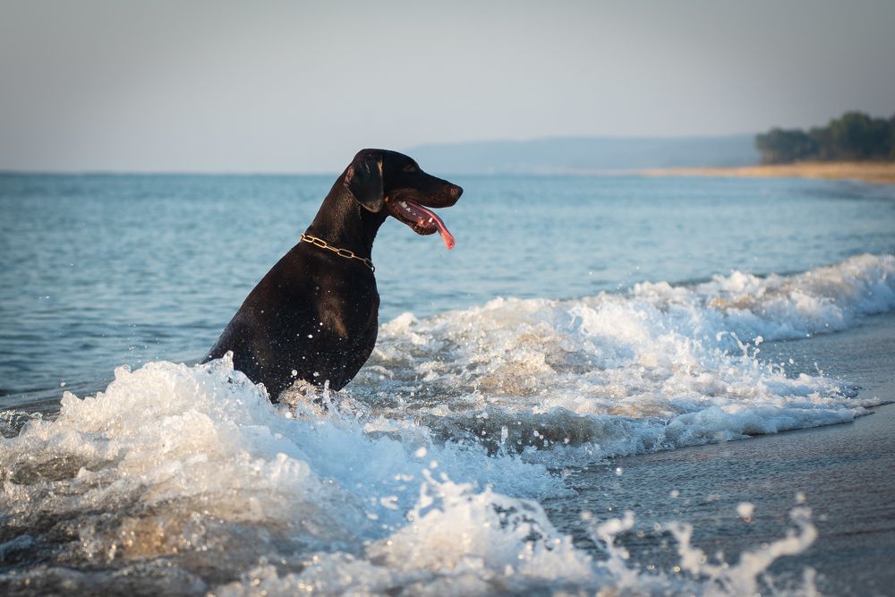 Photograph by Наталья Романова