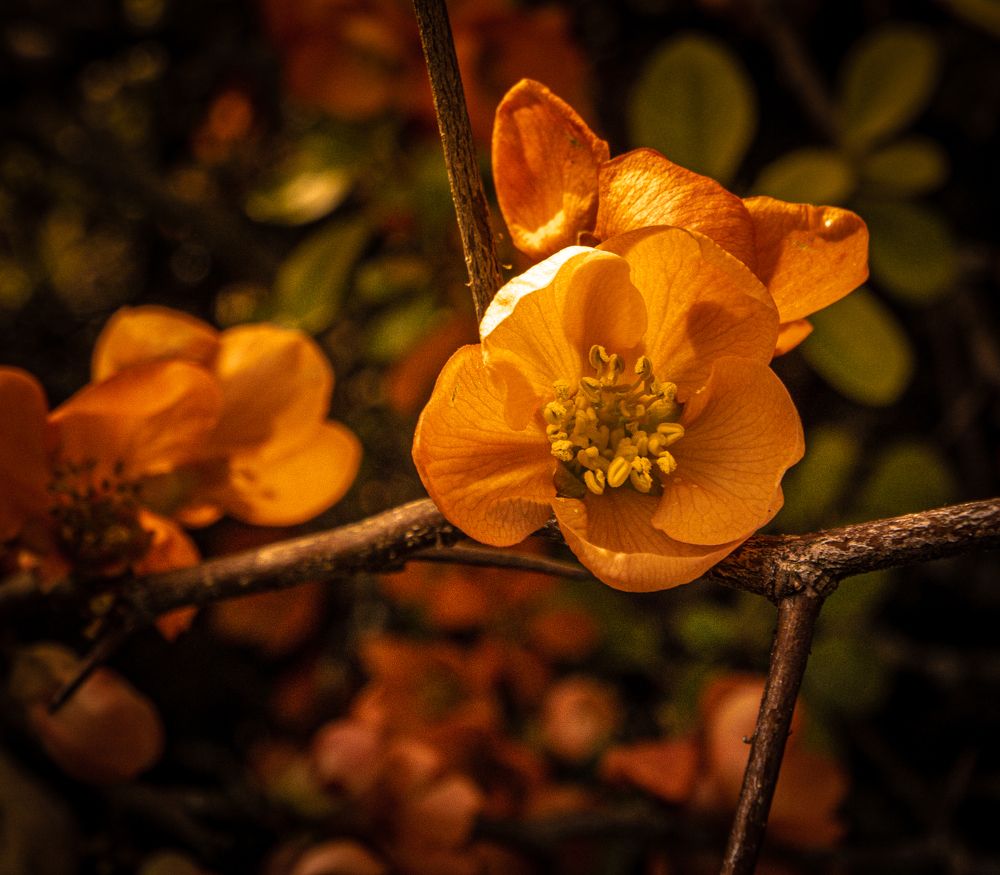 Photograph by Vitalii Kaznin