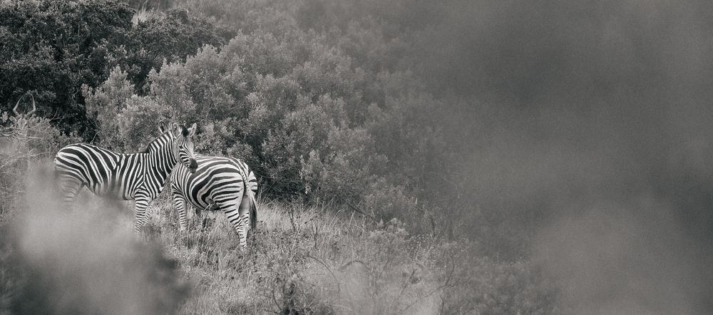 Photograph by Breanna J Marshall