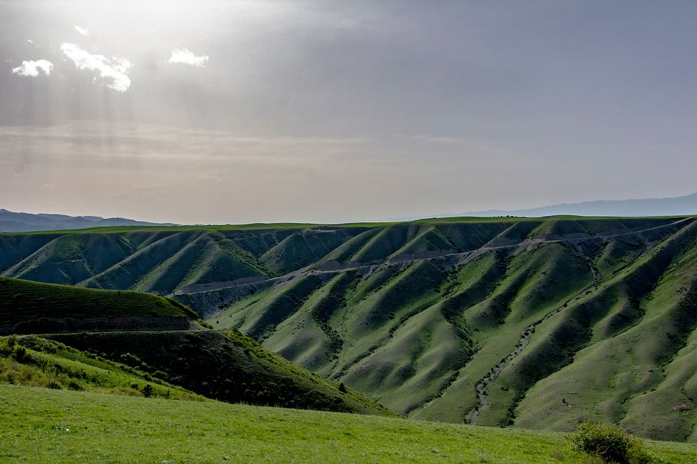 Фотография автора Анатолий Мацеля
