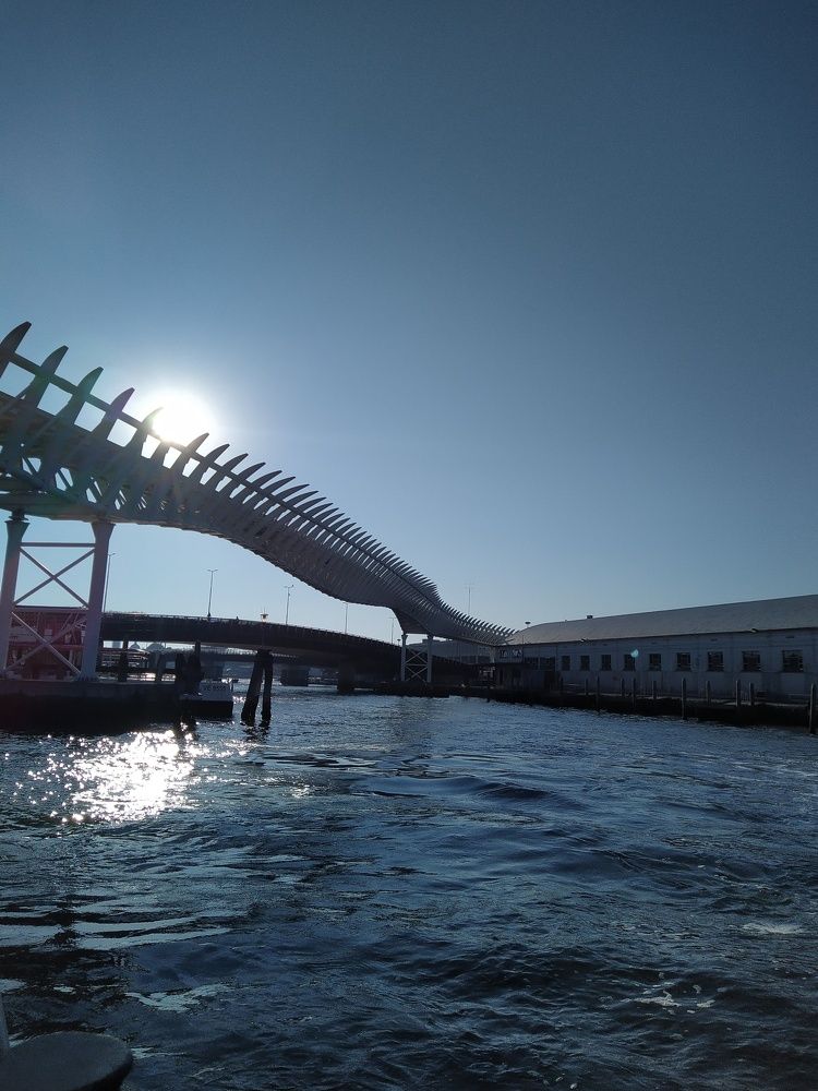 Фотография автора Inna Osminina