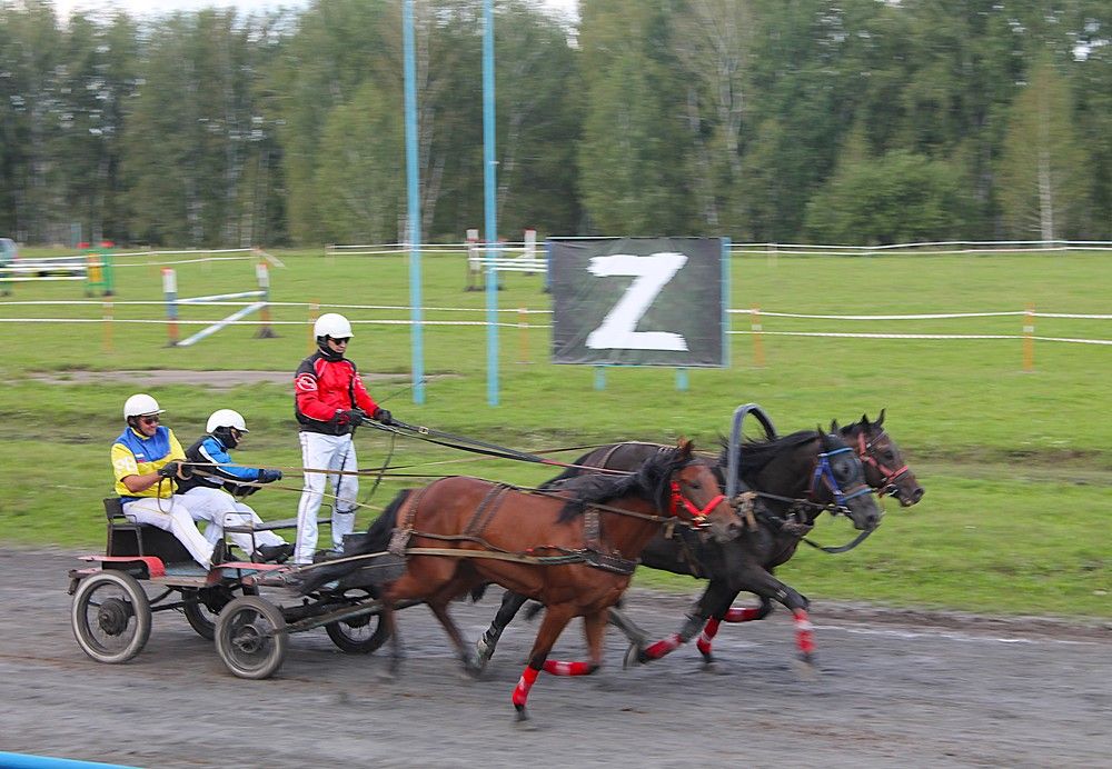 Photograph by Евгения Сараева