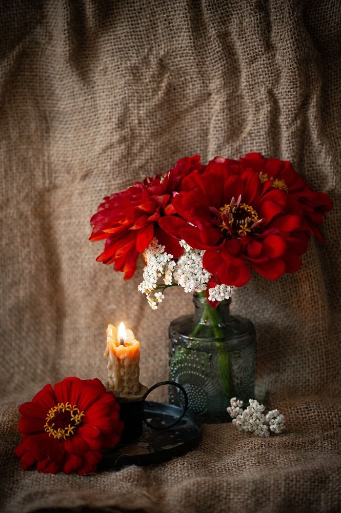 Photograph by Екатерина Одинцова