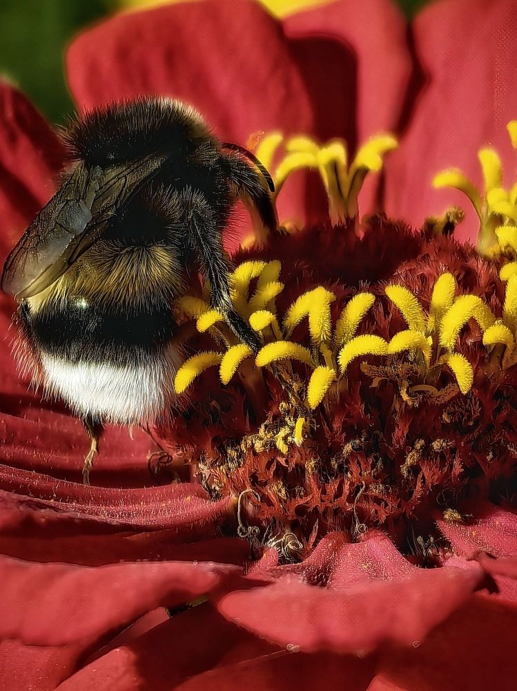 Photograph by Наталия Романова