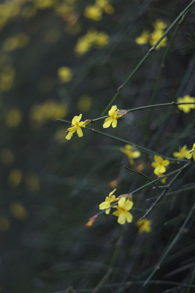 Фотография автора Anastasia