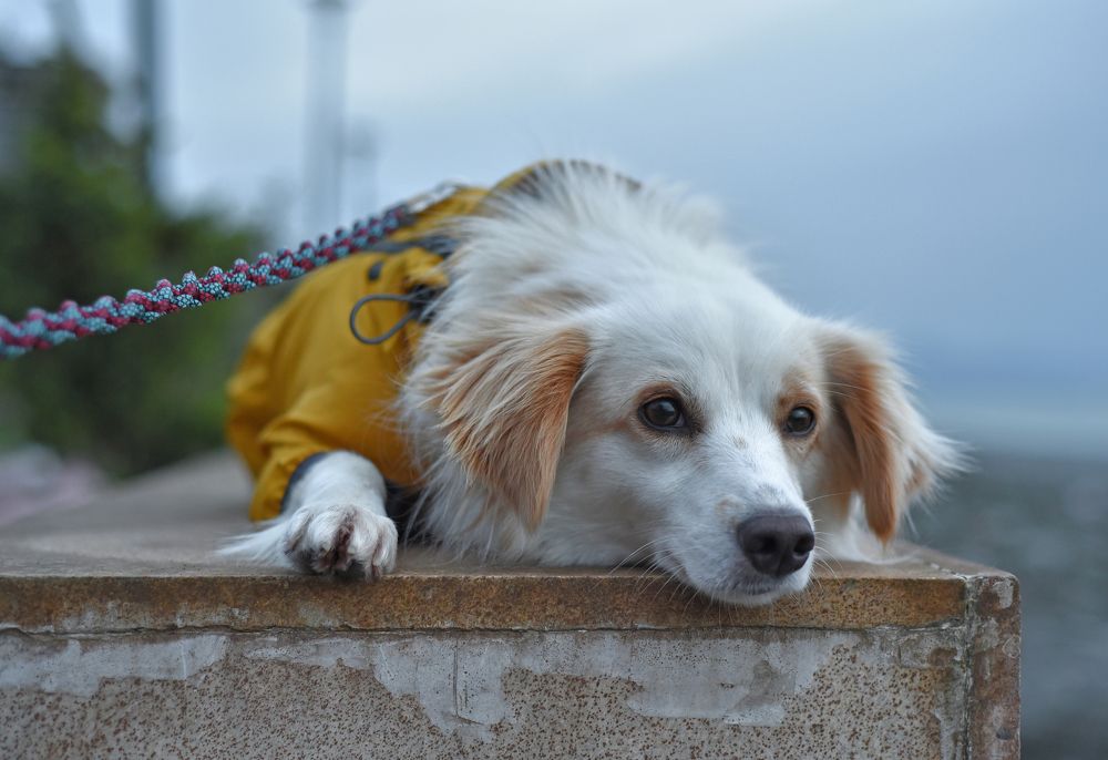 Photograph by Куликова Ирина