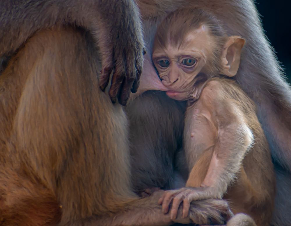 Photograph by Ramya Roy