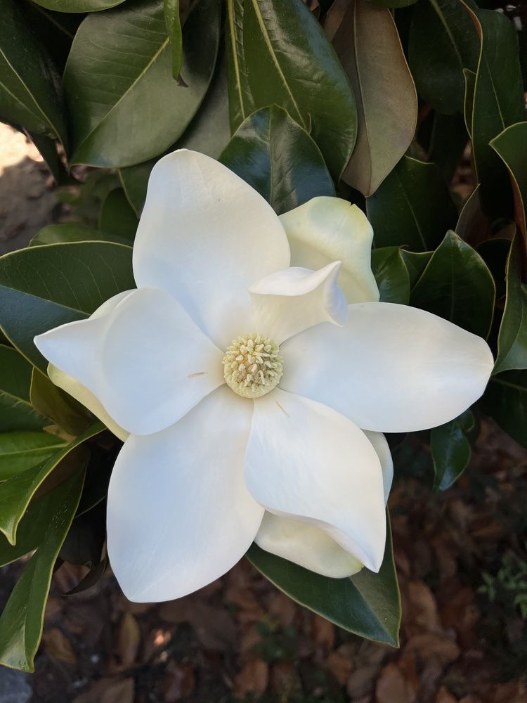 Photograph by Татьяна Дмитроченко