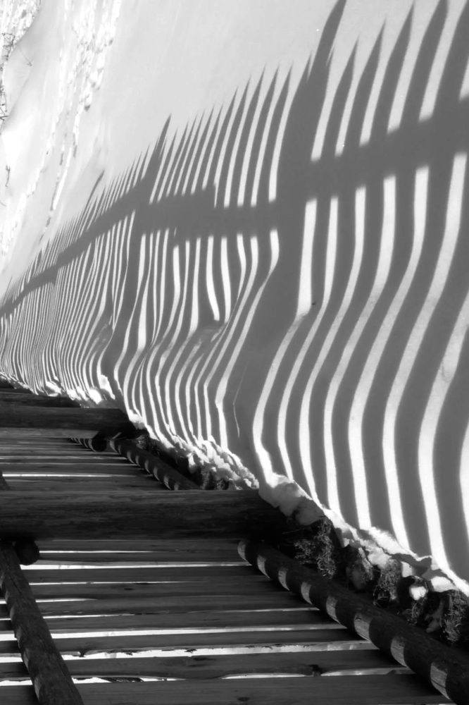 В перевёрнутом мире.