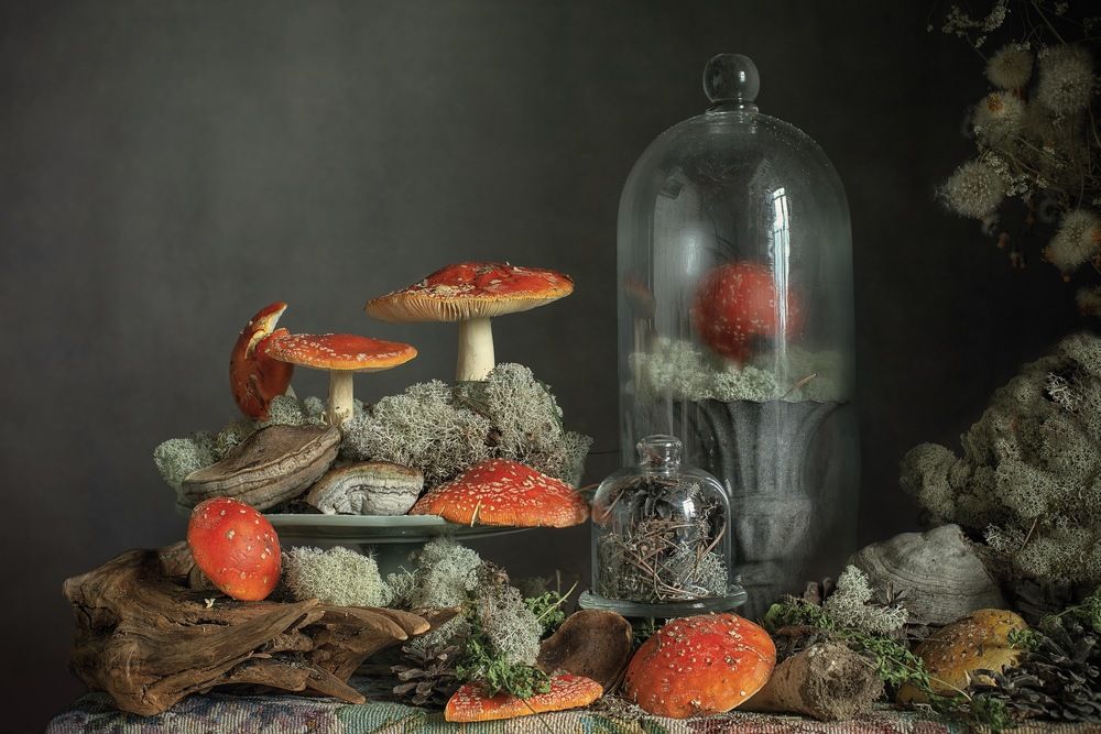 Фотография автора Виктория Шаманова