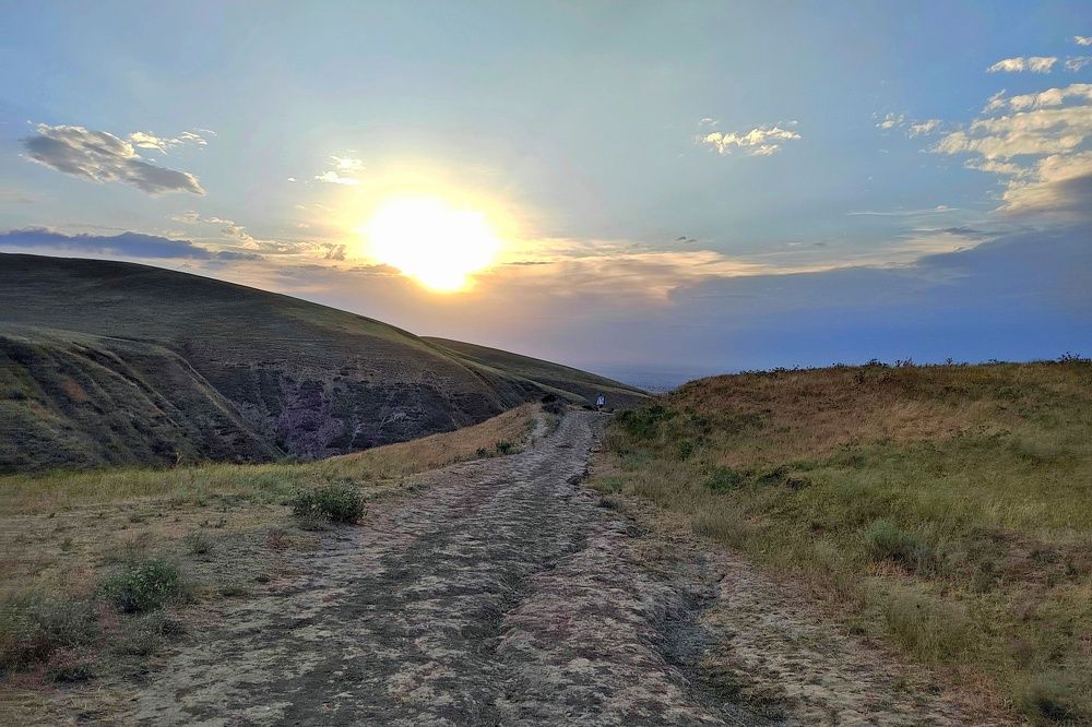 Фотография автора Вера,  Саша  Натан Фотогруппа ВЕСНА