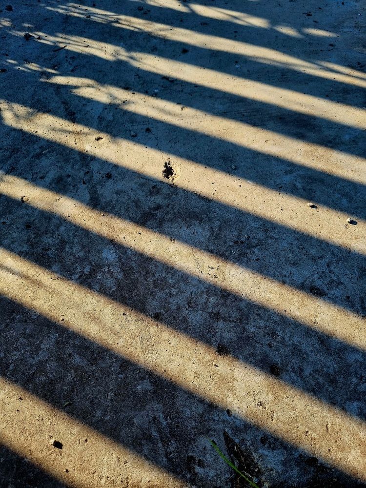 Photograph by Ирина Герлин