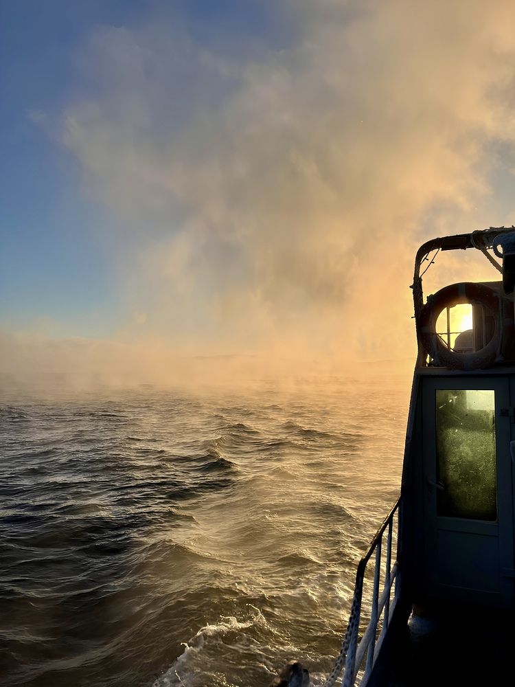 Фотография автора Ксения