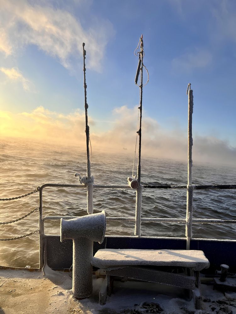 Фотография автора Ксения