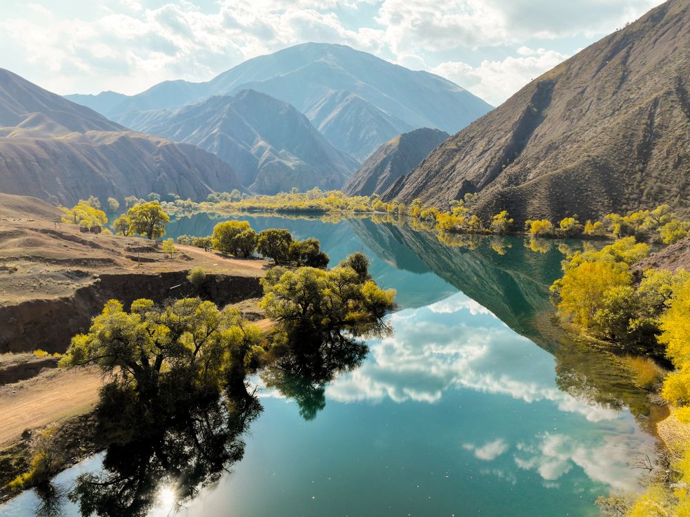 Фотография автора Алексей Огнев
