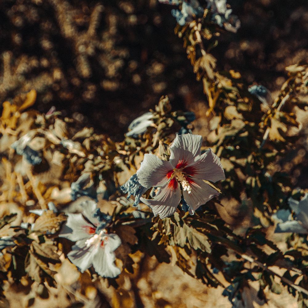 Photograph by Даниил Петруненко